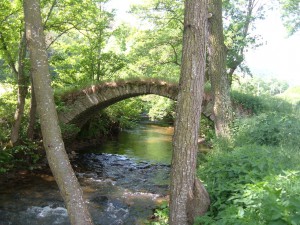 Pont Gorges de la Sianne